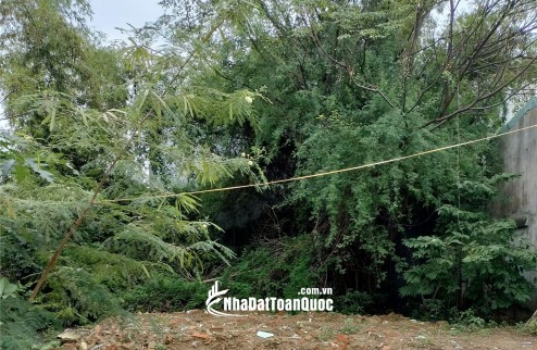 BÁN ĐẤT KIỆT Ô TÔ HÒA QUÝ – GIÁ TỐT